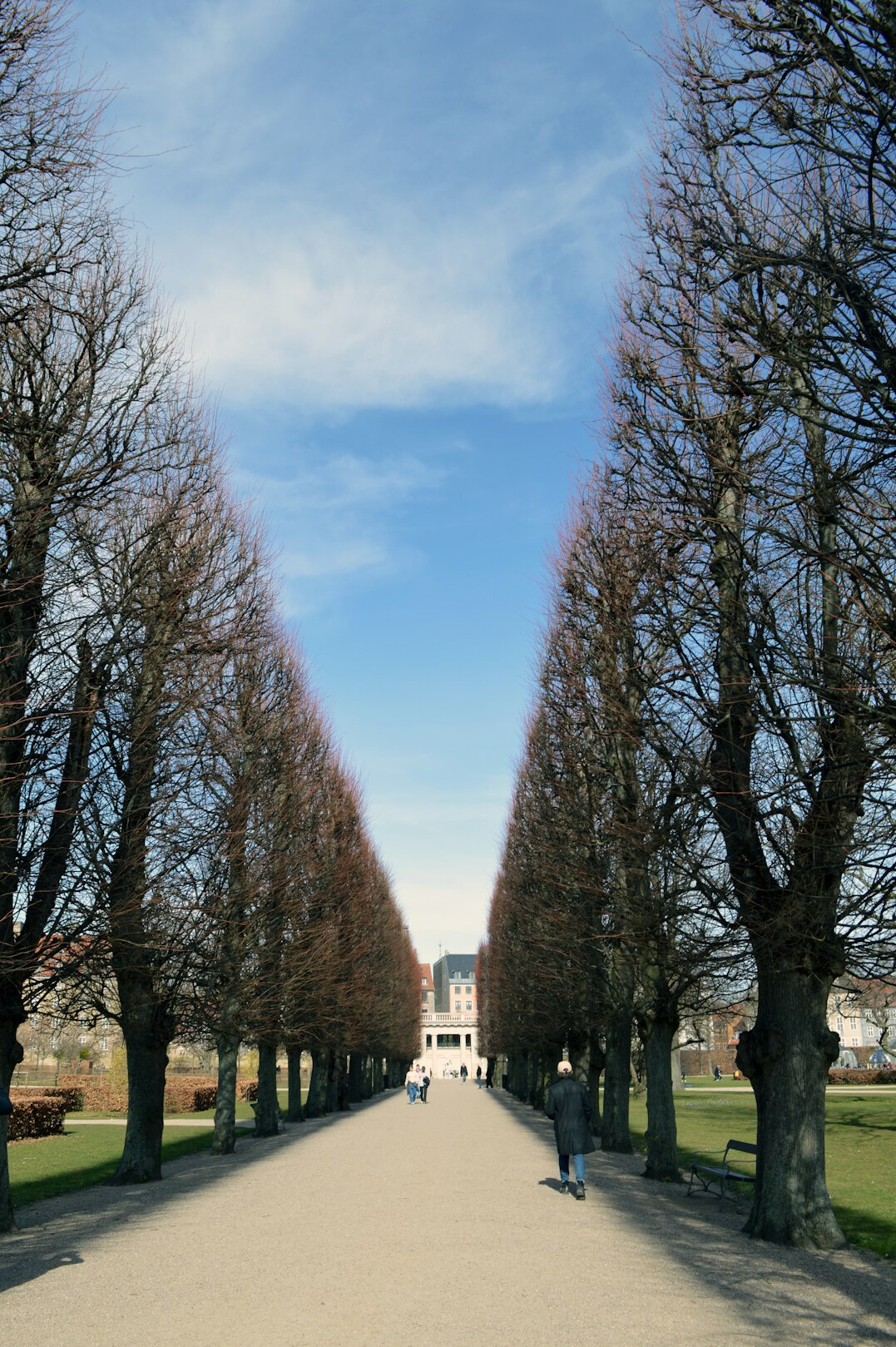 people in danish park