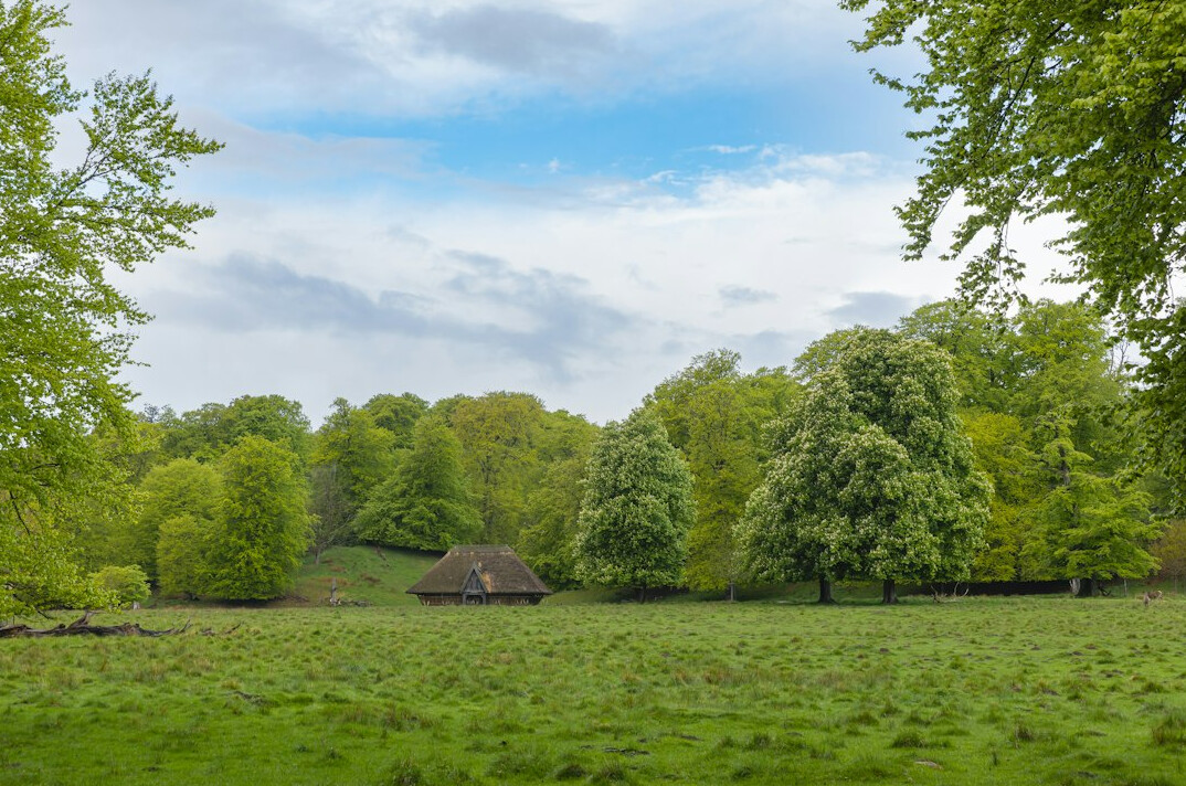 danish countryside morning
