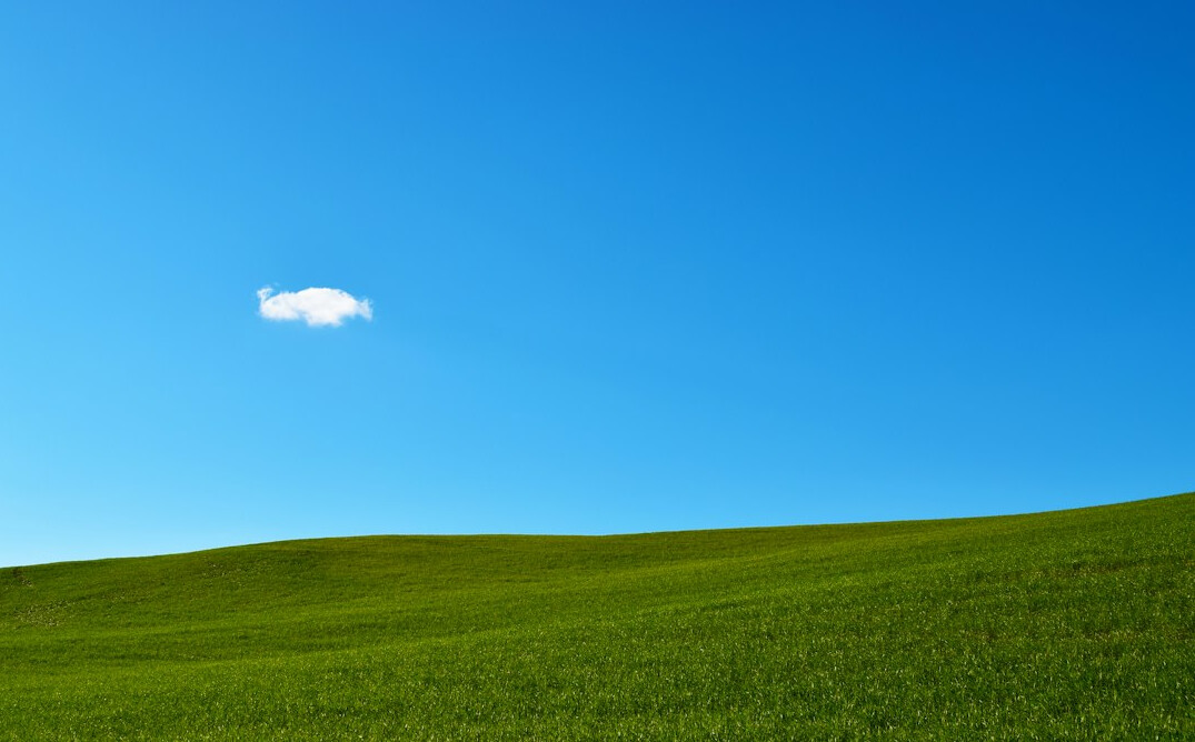 Green agricultural fields under a wide open sky